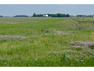 Property photo 3 - LAND AUCTION - 700+/- ACRES OFFERED IN 16 TRACTS IN ALLEN COUNTY, INDIANA
